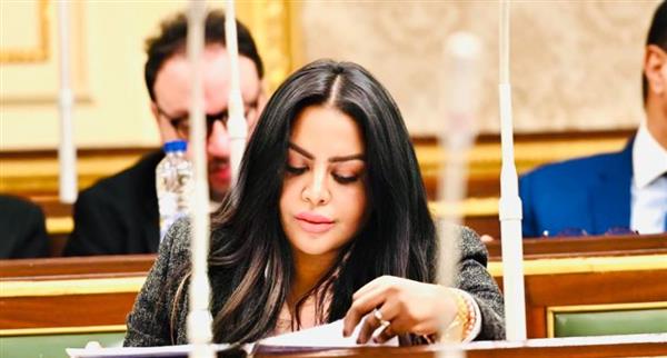 عضو "إفريقية النواب": توقيت إقرار البرلمان لقانون تنظيم المسئولية الطبية هام