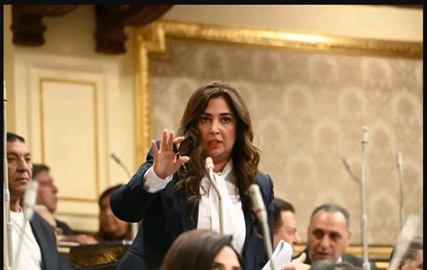 نواب التنسيقية يؤكدون ضرورة تخفيف الغرامة في عقوبة الخطأ الطبي العادي