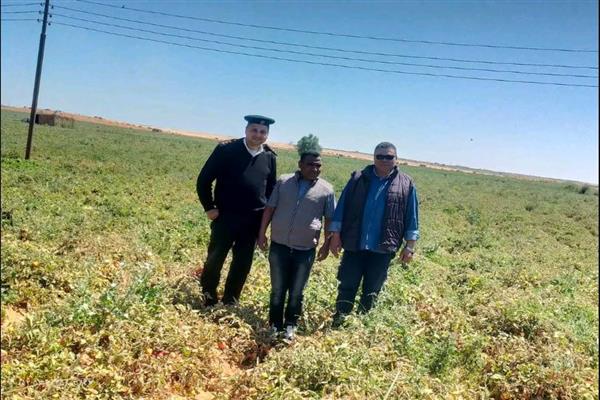 استرداد مساحة 8 آلاف و 400 متر مربع  أراضي زراعية بمركز أرمنت