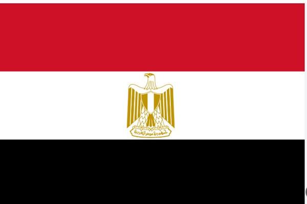 مصر تدين الاعتداءات الإسرائيلية على الأراضي السورية