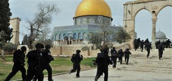   الخارجية الفلسطينية: نوثق انتهاكات الاحتلال ونحشد دوليا لكشف جرائمه