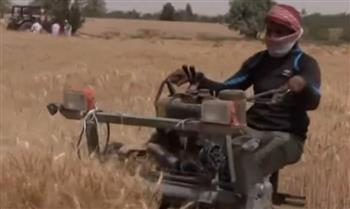  المتحدث باسم وزارة الزراعة يتحدث عن جهود الدولة لاستقبال موسم حصاد القمح