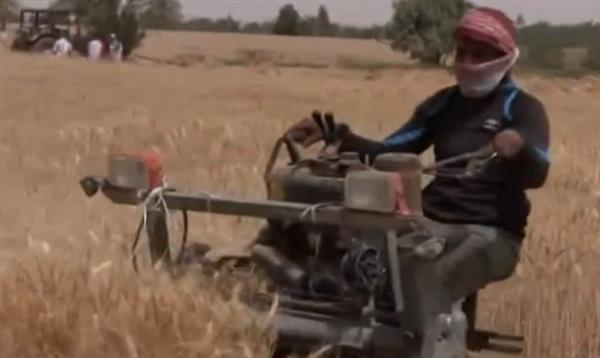 المتحدث باسم وزارة الزراعة يتحدث عن جهود الدولة لاستقبال موسم حصاد القمح