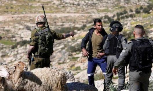 "الخارجية الفلسطينية" تطالب بتحرك دولي فاعل لوقف جرائم المستعمرين واعتداءاتهم