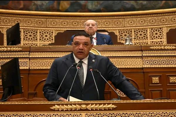 مجلس الشيوخ يناقش طلب عن تنسيقية شباب الأحزاب والسياسيين