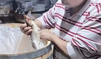   محافظ الدقهلية : ضبط أكثر من 3 طن رنجة و فسيخ ولحوم فاسدة بمدينتي طلخا و بلقاس