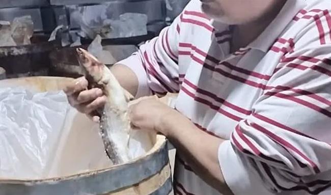 محافظ الدقهلية : ضبط أكثر من 3 طن رنجة و فسيخ ولحوم فاسدة بمدينتي طلخا و بلقاس