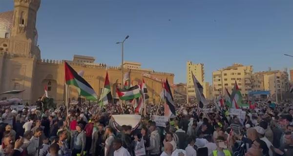 وقفات حاشدة بساحة مسجد السيدة زينب لرفض تهجير الفلسطينيين.. فيديو