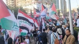   دبلوماسيان: احتشاد ملايين المصريين رفضًا لتهجير الفلسطينيين يعكس التفاف الشعب حول القيادة السياسية 
