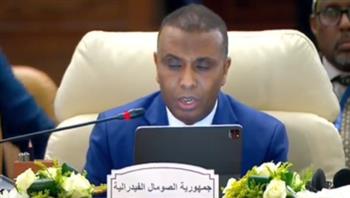   رئيس وزراء الصومال: نرفض أي محاولات تهدف إلى تهجير الفلسطينيين  ​