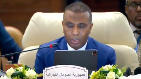 رئيس وزراء الصومال: نرفض أي محاولات تهدف إلى تهجير الفلسطينيين  ​