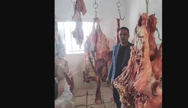 "زراعة البحر الأحمر" توفر اللحوم للمواطنين بأسعار 310 جنيهات للكيلو