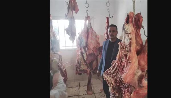 "زراعة البحر الأحمر" توفر اللحوم للمواطنين بأسعار 310 جنيهات للكيلو