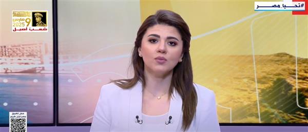 كاتب صحفي: التحول الرقمي فلسفة استراتيجية والرقمنة تقنية