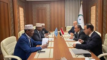   وزير الخارجية يعقد لقاءً مع نظيره الصومالي على هامش اجتماع منظمة التعاون الإسلامي
