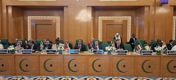 مجلس التعاون الإسلامي يدعم خطة مصر لإعمار غزة