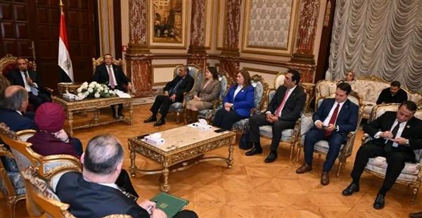 وزير الخارجية يلتقي بلجنة الشؤون العربية والإفريقية بمجلس الشيوخ
