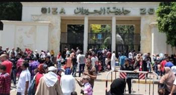   مدير "حدائق الحيوان": إقبال متميز خلال أول أيام عيد الفطر