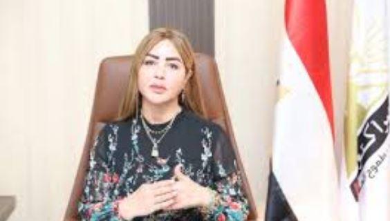 جيهان مديح: جولة الرئيس السيسي الخليجية تعكس تحركات مصر لدعم الفلسطينيين