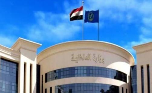 الأمن يكشف ملابسات تضرر إحدى السيدات ونجلها في القاهرة