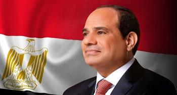   الرئيس السيسي يعود إلى أرض الوطن في ختام جولة خليجية