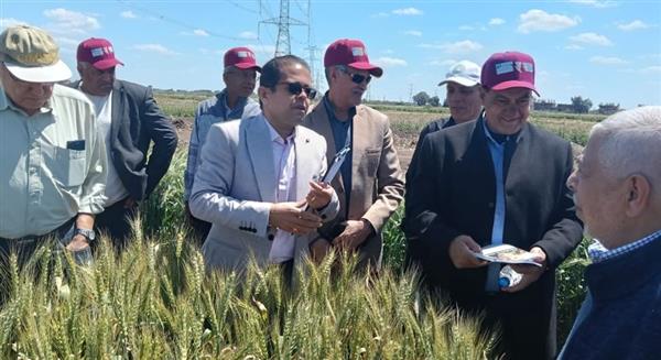 استنباط أربعة أصناف قمح عالية الانتاج  بمحطة بحوث سخا بكفر الشيخ