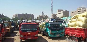 توريد 6010 أطنان قمح في الوادي الجديد