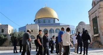   الأردن يدين اقتحام أعضاء من الكنيست الإسرائيلي للمسجد الأقصى المبارك