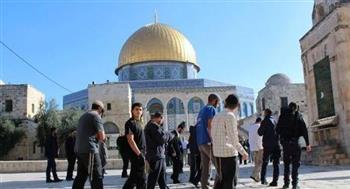 الأردن يدين اقتحام أعضاء من الكنيست الإسرائيلي للمسجد الأقصى المبارك