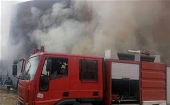 السيطرة على حريق شب داخل أرض فضاء بمستشفى عين شمس التخصصي 
