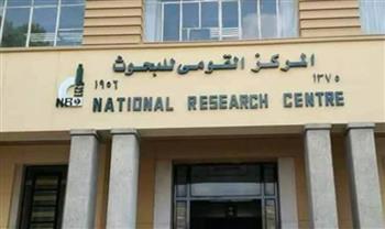   القومي للبحوث الاجتماعية ينظم ندوة توعوية للواعظات حول الاستخدام الرشيد لوسائل التواصل الاجتماعي