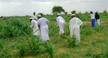   بسبب الحرب.. السودان يتكبد خسائر بمليارات الدولارات في القطاع الزراعي 