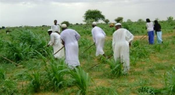 بسبب الحرب.. السودان يتكبد خسائر بمليارات الدولارات في القطاع الزراعي