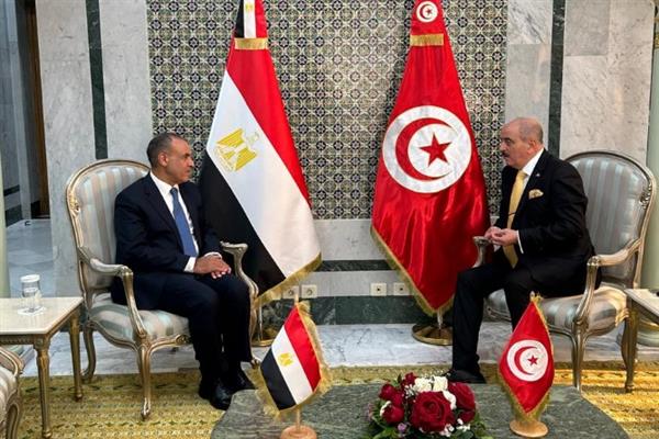 وزير الخارجية يشيد بالطفرة النوعية التي تشهدها العلاقات الثنائية "المصرية-التونسية"