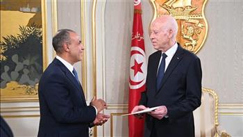   وزير الخارجية يسلم رسالة خطية من الرئيس السيسي إلى نظيره التونسي