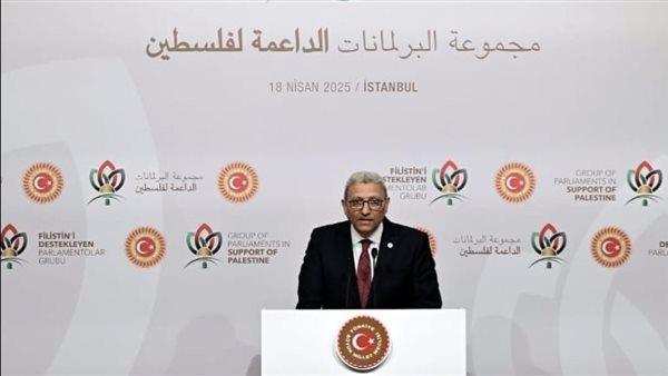 وكيل أول مجلس النواب يُشارك في الاجتماع الأول لمجموعة البرلمانات الداعمة لفلسطين