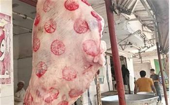 بيطري المنيا: ضبط 3 أطنان لحوم غير صالحة للاستهلاك خلال مارس الماض