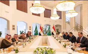   وزير الخارجية يترأس وفد مصر في أعمال لجنة المتابعة والتشاور مع السعودية في الرياض 