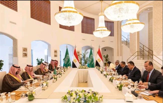 وزير الخارجية يترأس وفد مصر في أعمال لجنة المتابعة والتشاور مع السعودية في الرياض 