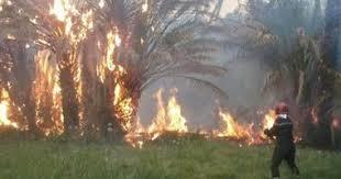 السيطرة على حريق داخل مزرعة مواشي في أطفيح