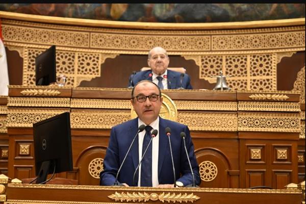 وزير قطاع الأعمال العام يستعرض استراتيجية عمل الوزارة أمام الجلسة العامة لمجلس الشيوخ