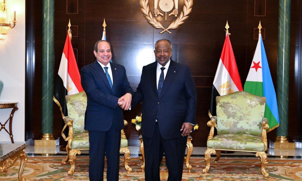 الرئيس السيسي: مركز لوجيستي للشركات المصرية في المنطقة الحرة بـ جيبوتي