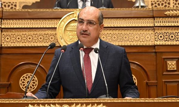 وهبة: المشروعات العملاقة نجحت في الحد من أزمات الأمن الغذائي