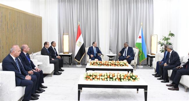 رفض تام من مصر وجيبوتي لتهجير الفلسطينيين خارج أرضهم تحت أي مسمى