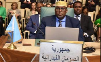   سفير الصومال يشارك في أعمال الدورة 163 لمجلس الجامعة العربية لوزراء الخارجية العرب