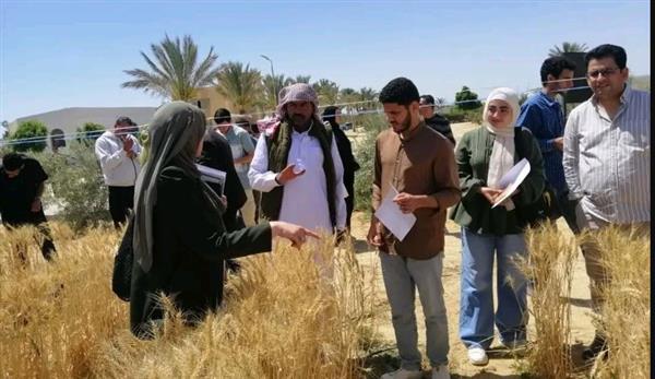 مركز بحوث الصحراء يقود نهضة زراعية وتنموية متكاملة في المحافظة