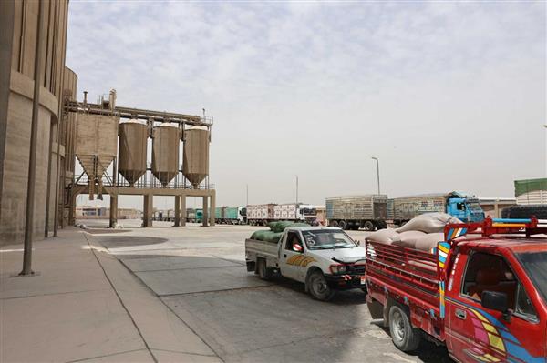 "كدواني": المنيا تتصدر محافظات الجمهورية في توريد القمح بإجمالي 38 ألف طن