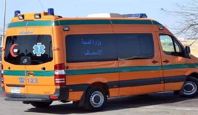 شاب يقتل حماته ويصيب زوجته بإصابات خطيرة في كفر الشيخ