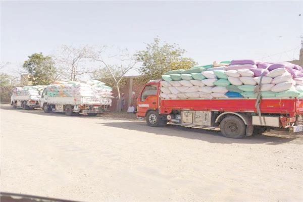 توريد 3 آلاف و408 طن قمح لشون وصوامع القليوبية