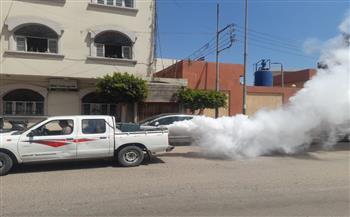   محافظ الغربية: الدفع بحملات مكثفة لمكافحة الناموس في المراكز 
